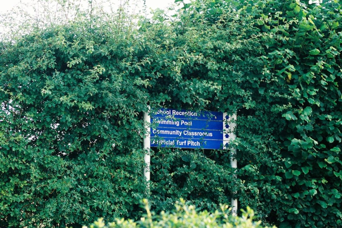 Aménager une aire pédagogique dans un parc