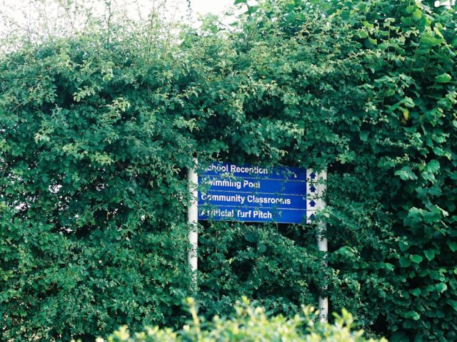 Aménager une aire pédagogique dans un parc