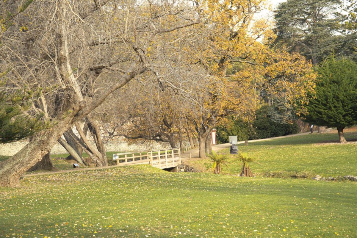 Avis et conseils pour visiter l'Arboretum Wespelaar