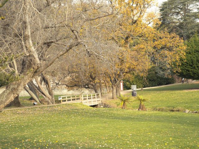 Avis et conseils pour visiter l&rsquo;Arboretum Wespelaar