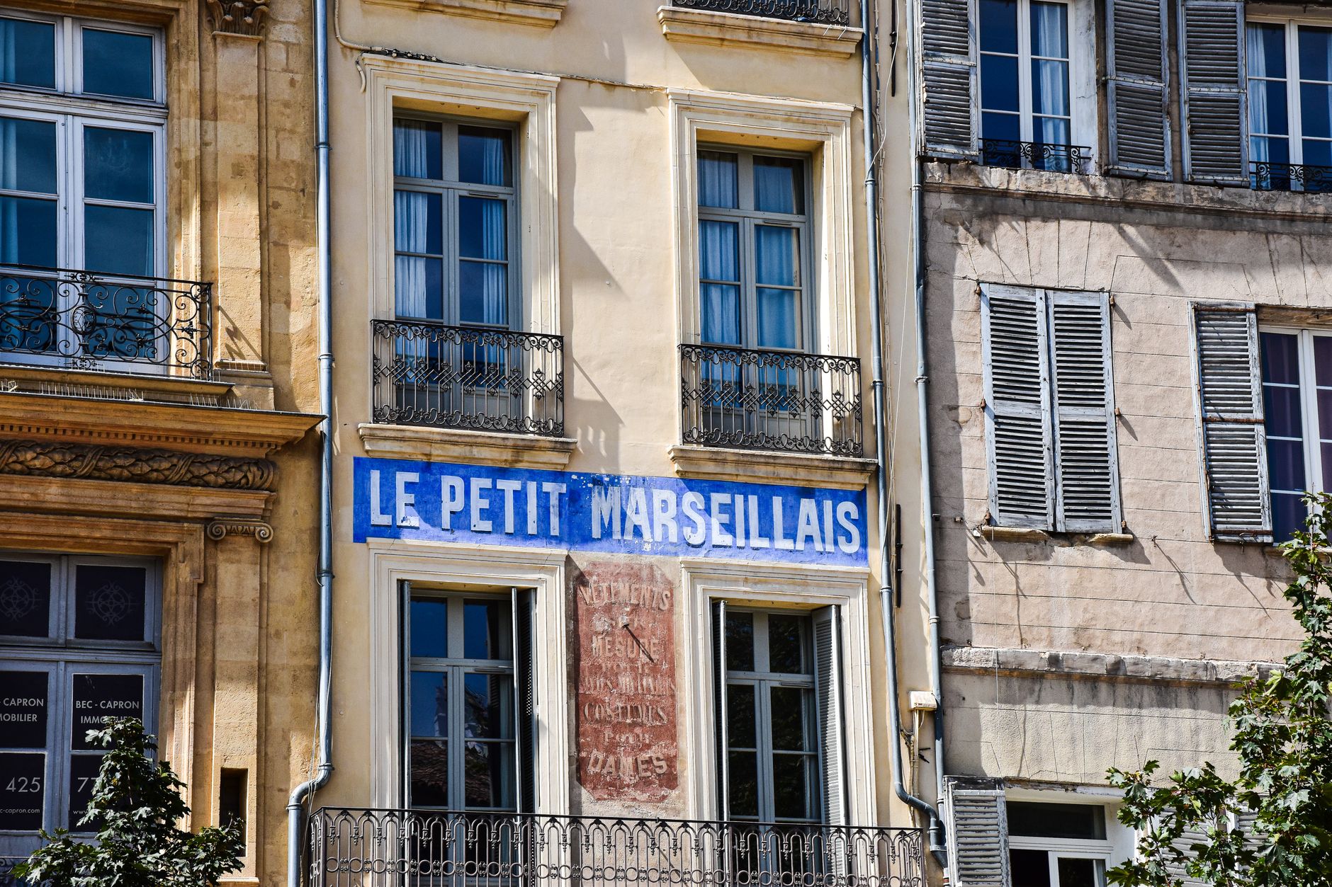 Pourquoi planter vos arbustes en septembre plutôt qu'au printemps ?