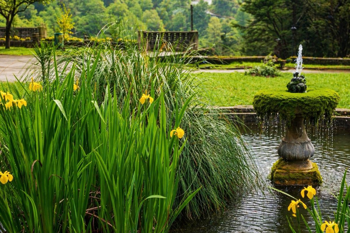 Horta ou Den Hof : quel jardin visiter à Anvers