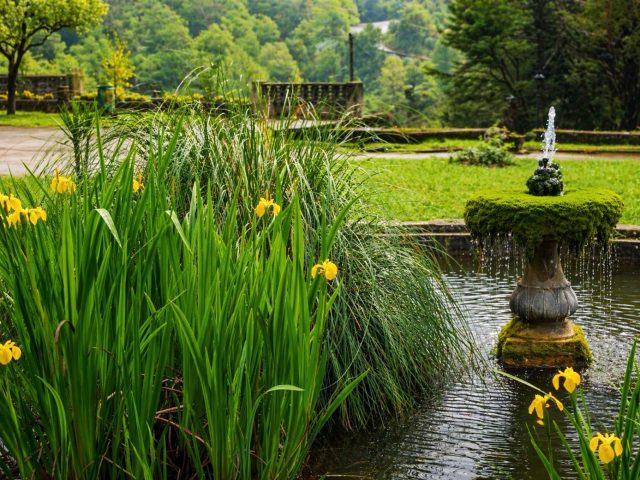 Horta ou Den Hof : quel jardin visiter à Anvers