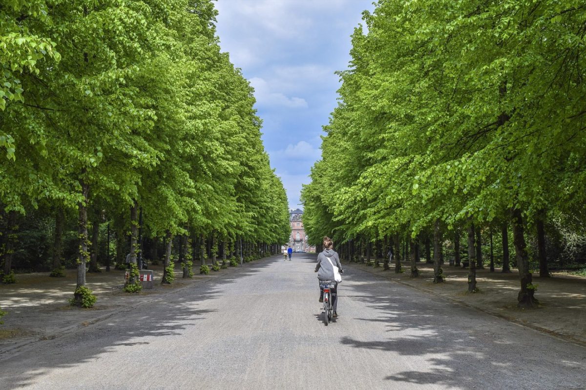 Meilleurs jardins historiques à visiter en Belgique