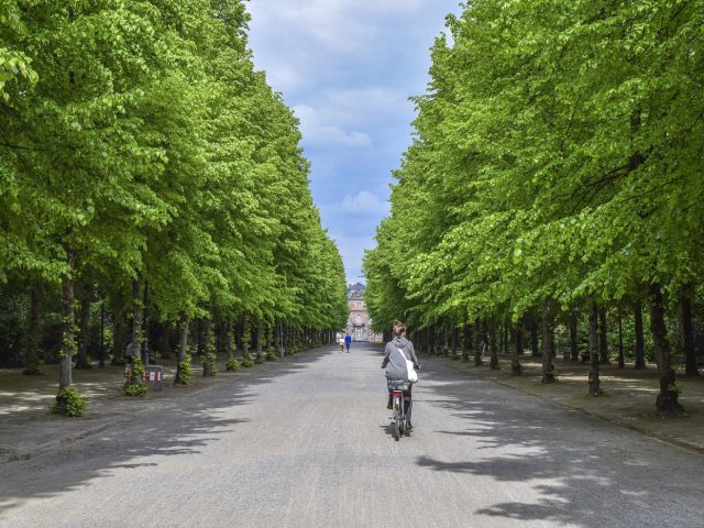 Meilleurs jardins historiques à visiter en Belgique