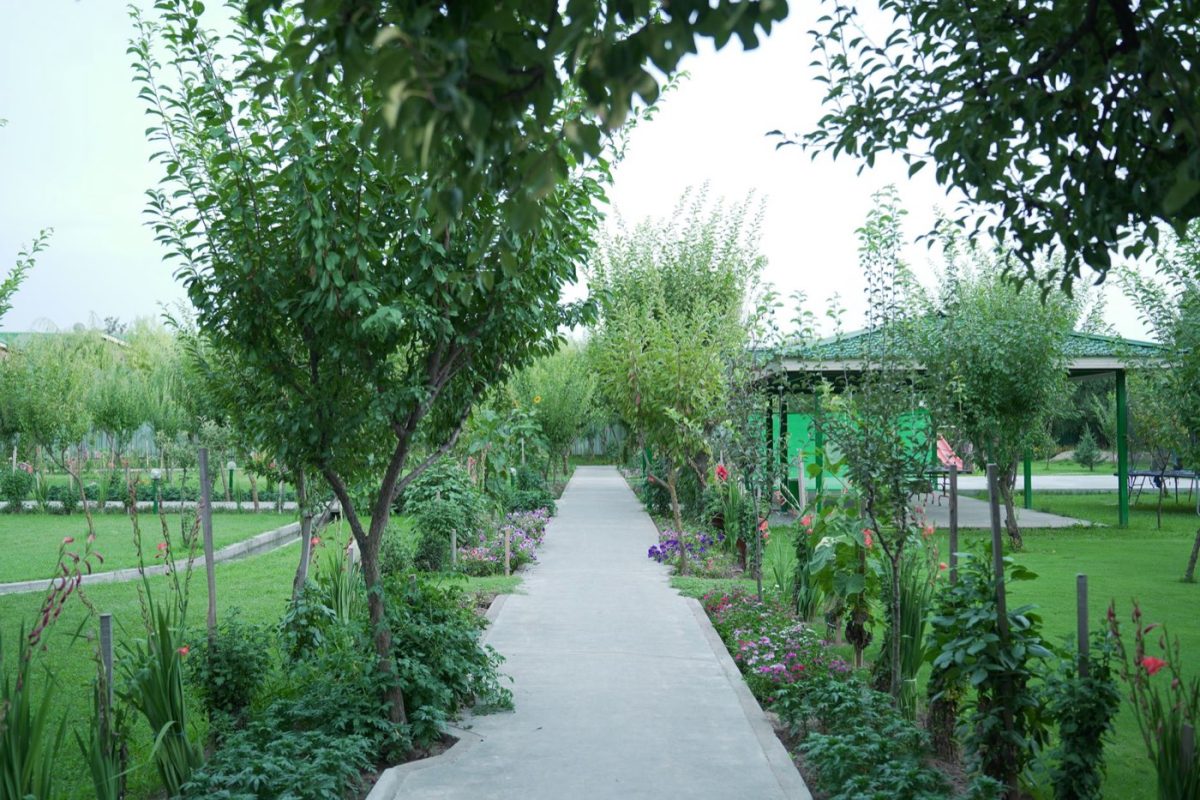 Meilleurs jardins à découvrir près de Bruxelles