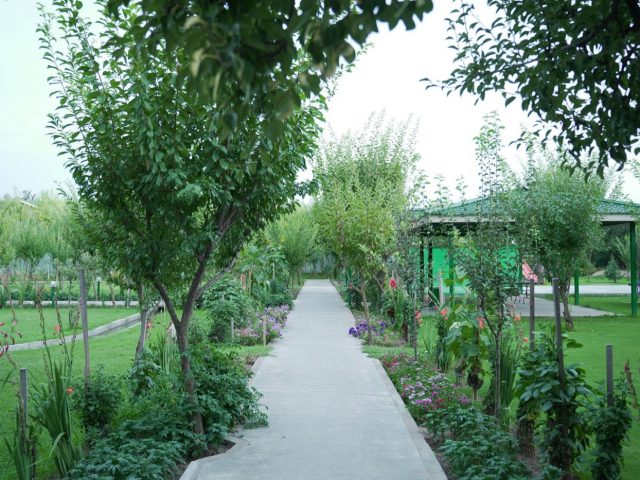 Meilleurs jardins à découvrir près de Bruxelles