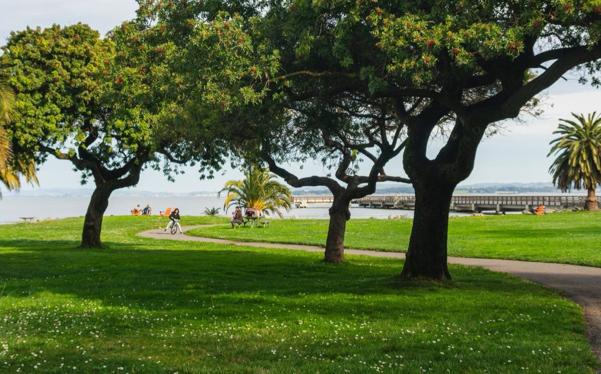 Pairi Daiza ou Jardin botanique de Meise : choix pour la famille