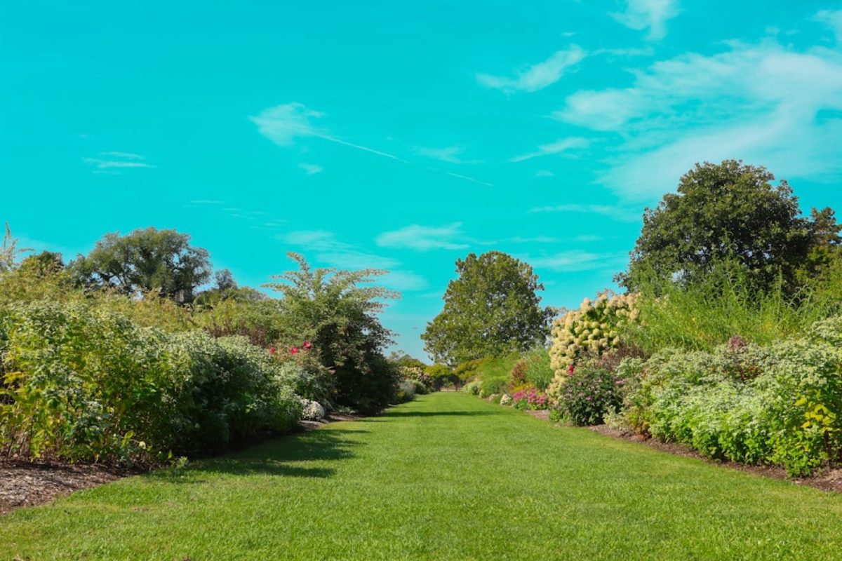 Guide pour créer un parcours botanique dans un jardin public