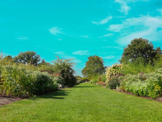 Guide pour créer un parcours botanique dans un jardin public