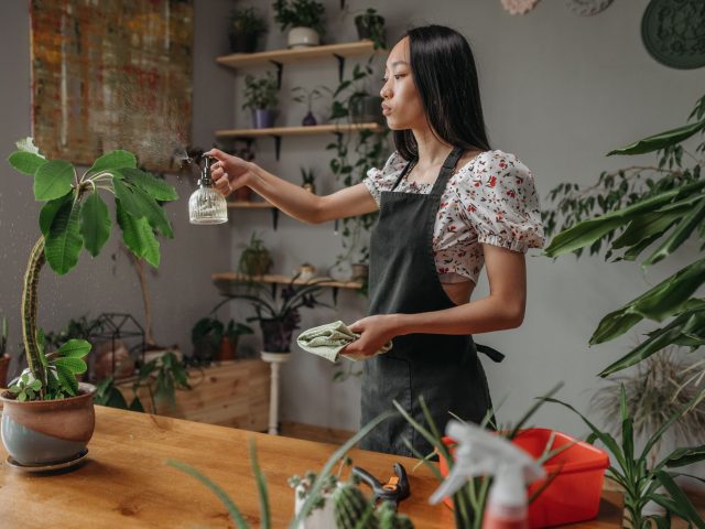 Dès maintenant, identifiez les plantes d&rsquo;intérieur dangereuses pour vos proches