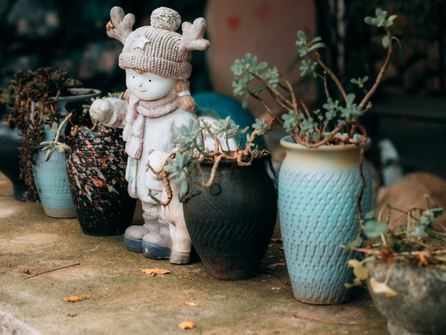 Quand rentrer vos plantes pour éviter qu&rsquo;elles ne gèlent ?
