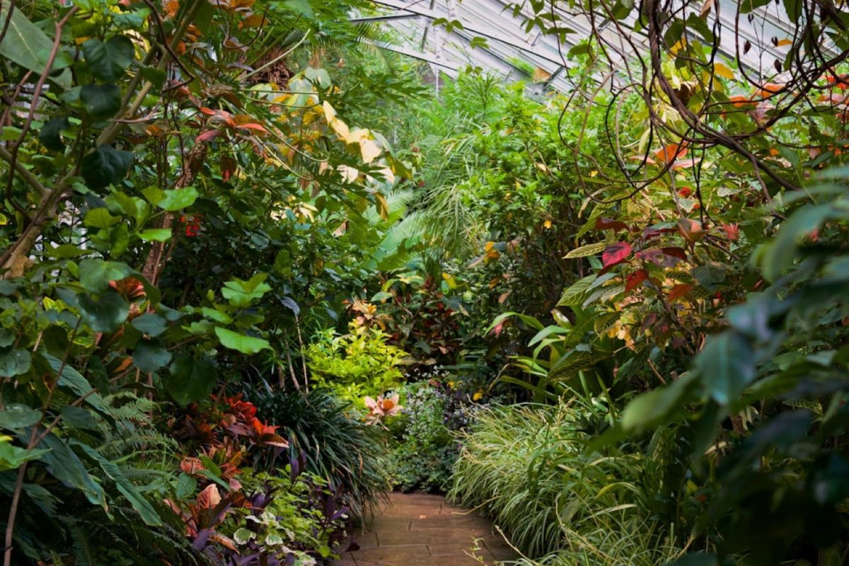 Laeken ou Jardin botanique de Bruxelles : que choisir