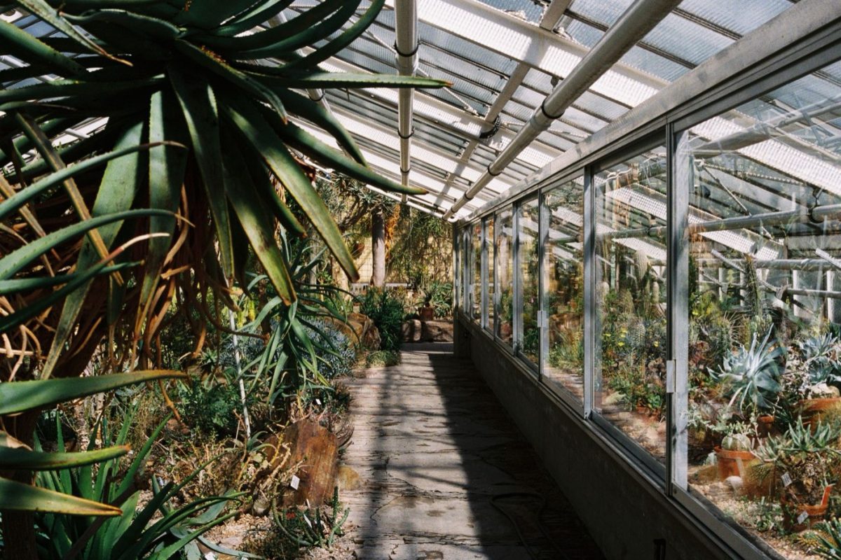 Serres royales de Laeken ou Jardin botanique de Meise