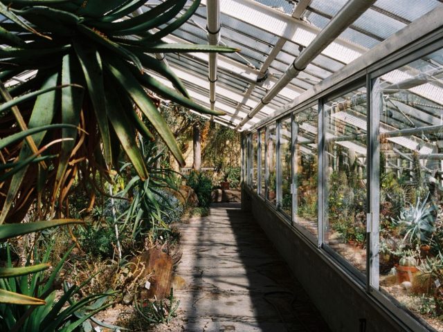 Serres royales de Laeken ou Jardin botanique de Meise