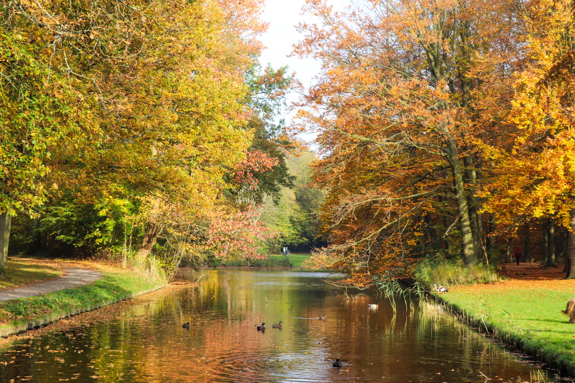 Sept parcs belges pour petites balades de 15 à 60 minutes