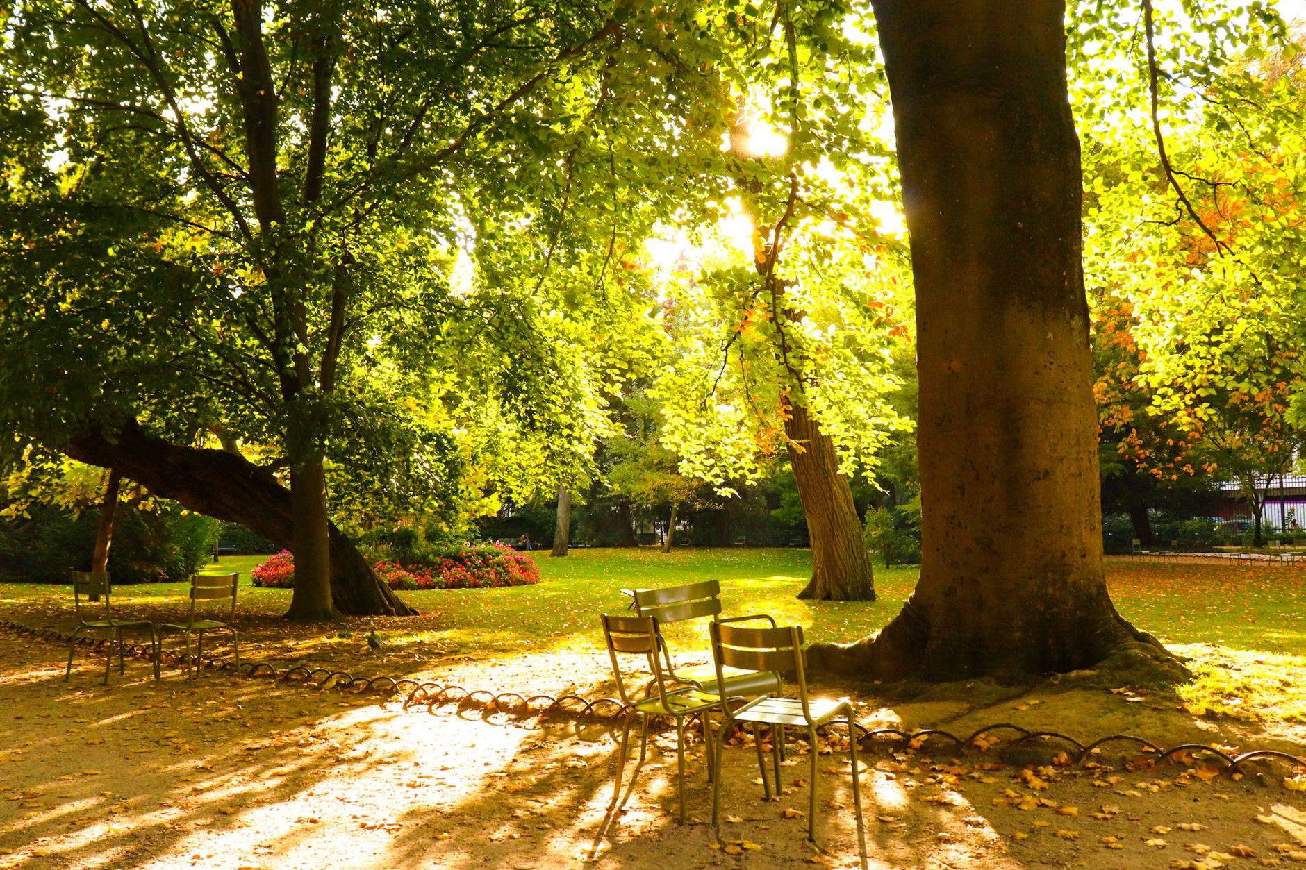 Dormir près d'un parc ou dans un jardin