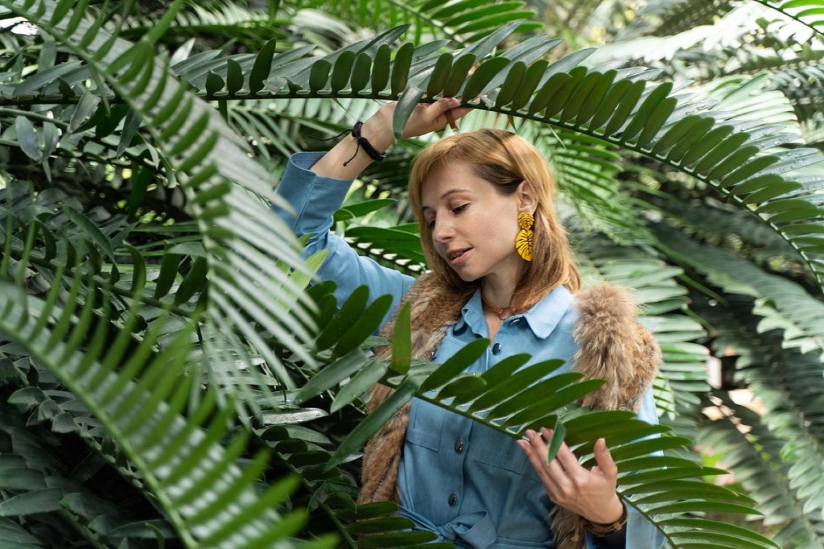 Arboretum Wespelaar ou Plantentuin Gent : lequel choisir ?